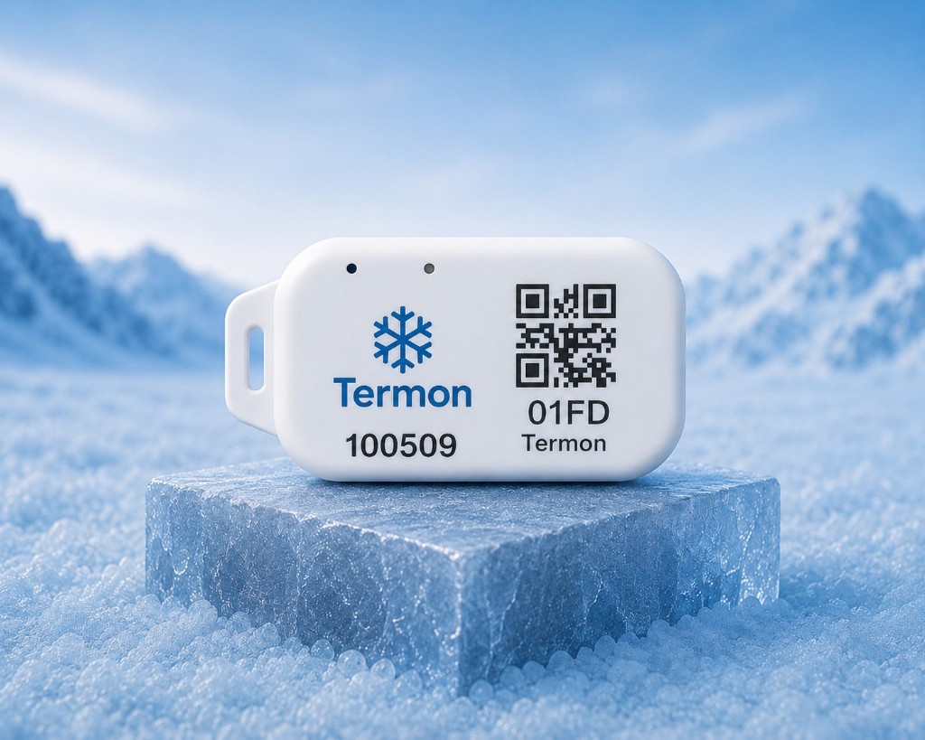 Termon CoolTag Logger